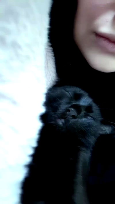 aekamee aekamee archive video