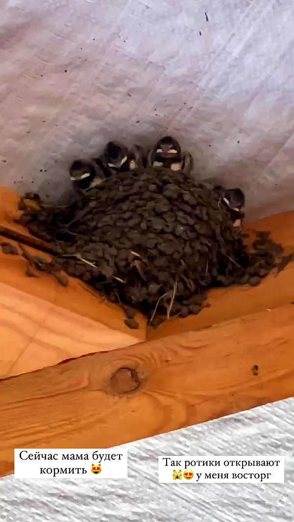 nyityam archive video preview