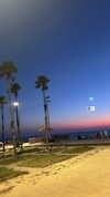 ilana.21 Altpins Profile Picture
