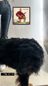 __yaheli_ Altpins Profile Picture