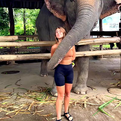 liad.arazi liad.arazi archive video