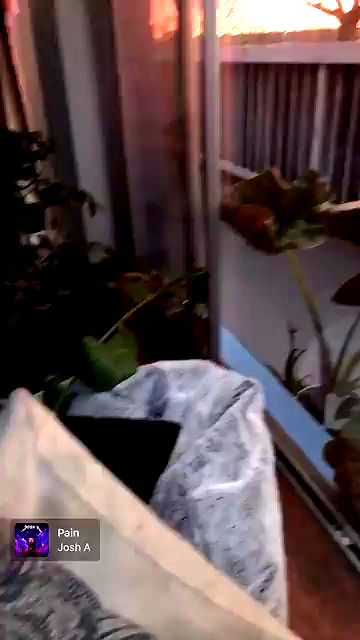 piper.jaylen piper.jaylen archive video