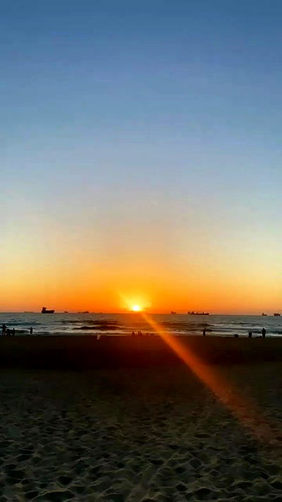 noa_zemlyanski noa_zemlyanski archive video