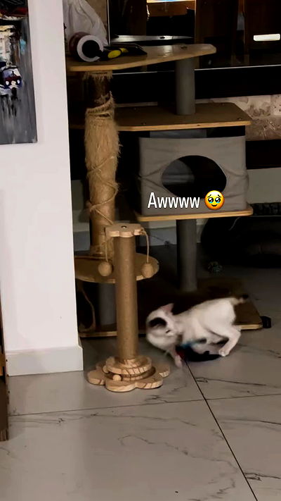 natalllluli natalllluli archive video