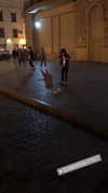 omer._shalom Altpins Profile Picture