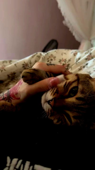 laurinchhhe laurinchhhe archive video