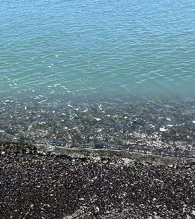 yam_adler yam_adler archive video