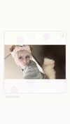 legrwmers Altpins Profile Picture