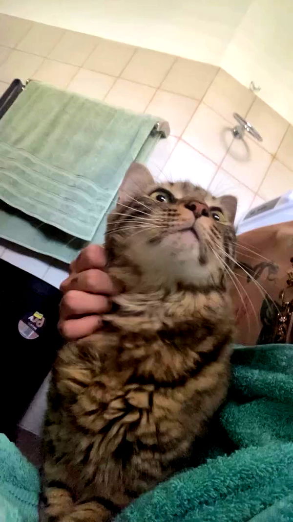 1.lostloli archive video preview