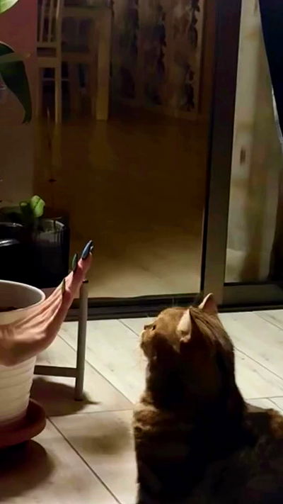 romy_ayalla_lavi romy_ayalla_lavi archive video