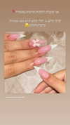 toharb_ Altpins Profile Picture
