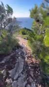 emiliaaa.sfr Altpins Profile Picture