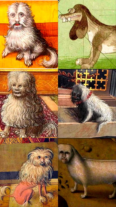 feelbetterinmysweater feelbetterinmysweater archive video