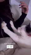 maycohen8 Altpins Profile Picture