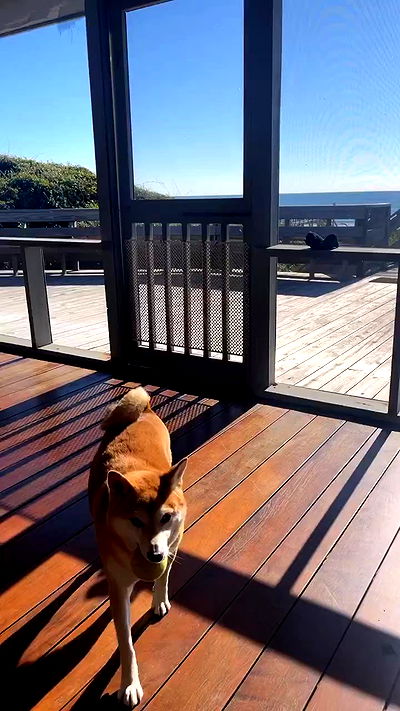 zommmbri zommmbri archive video