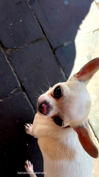 nicole.shpo nicole.shpo archive video