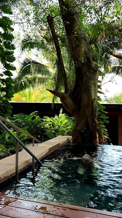 carolinezalog carolinezalog archive video