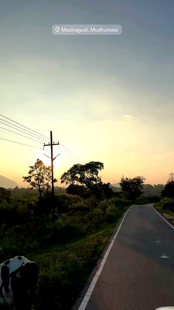 noa_mendel_ archive video preview