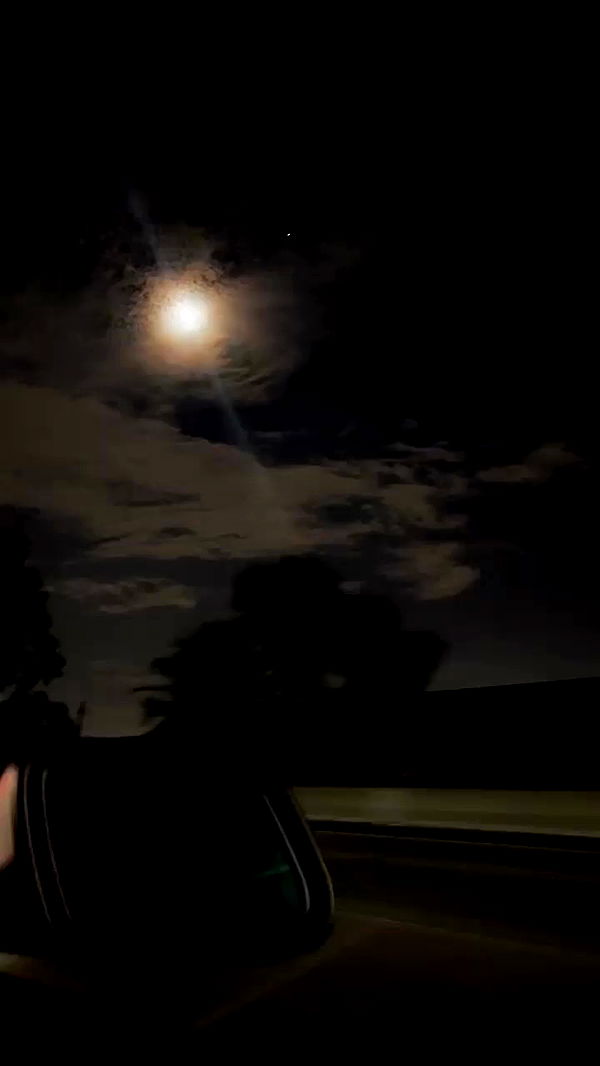 zommmbri archive video preview