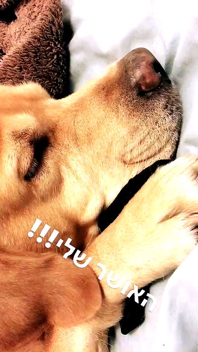 lissi77 lissi77 archive video