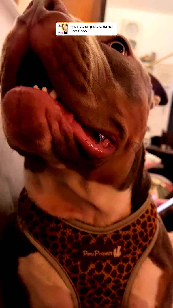 kesemgreenyer archive video preview