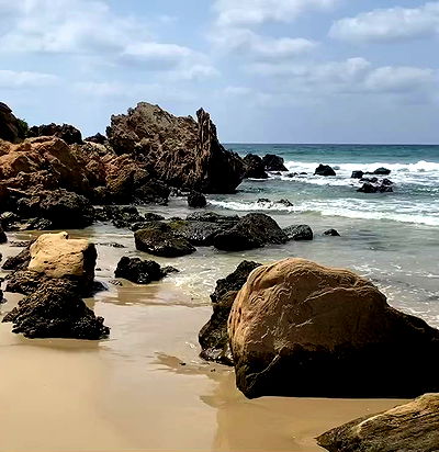 yam_adler yam_adler archive video