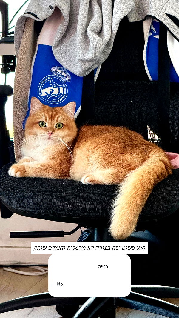 itsilanosh archive video preview