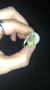 katie_westwood Altpins Profile Picture
