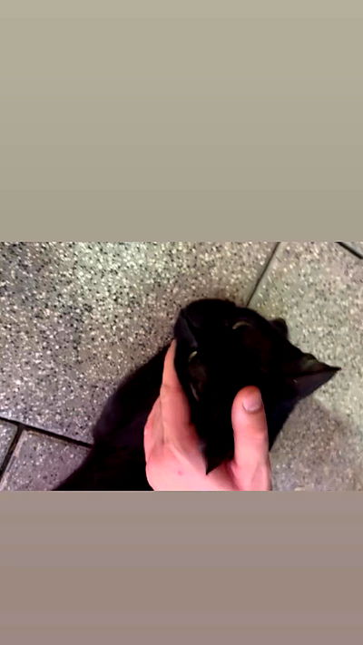 hellokittyangel666 hellokittyangel666 archive video