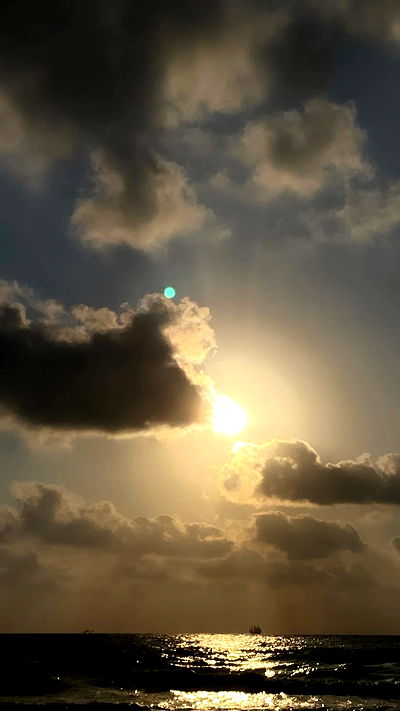 noa_zemlyanski noa_zemlyanski archive video