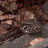 quitmell Altpins Profile Picture
