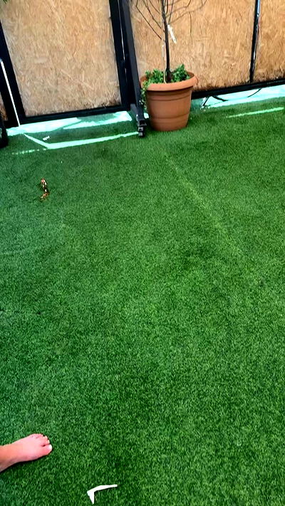 rene2141 rene2141 archive video