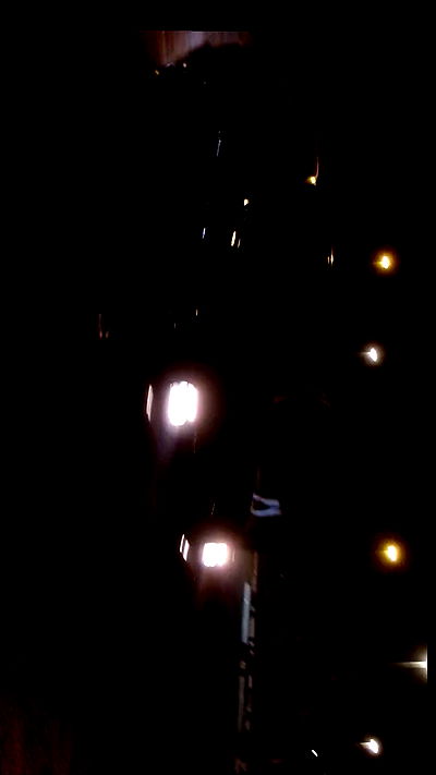 simp_for_cats_ simp_for_cats_ archive video