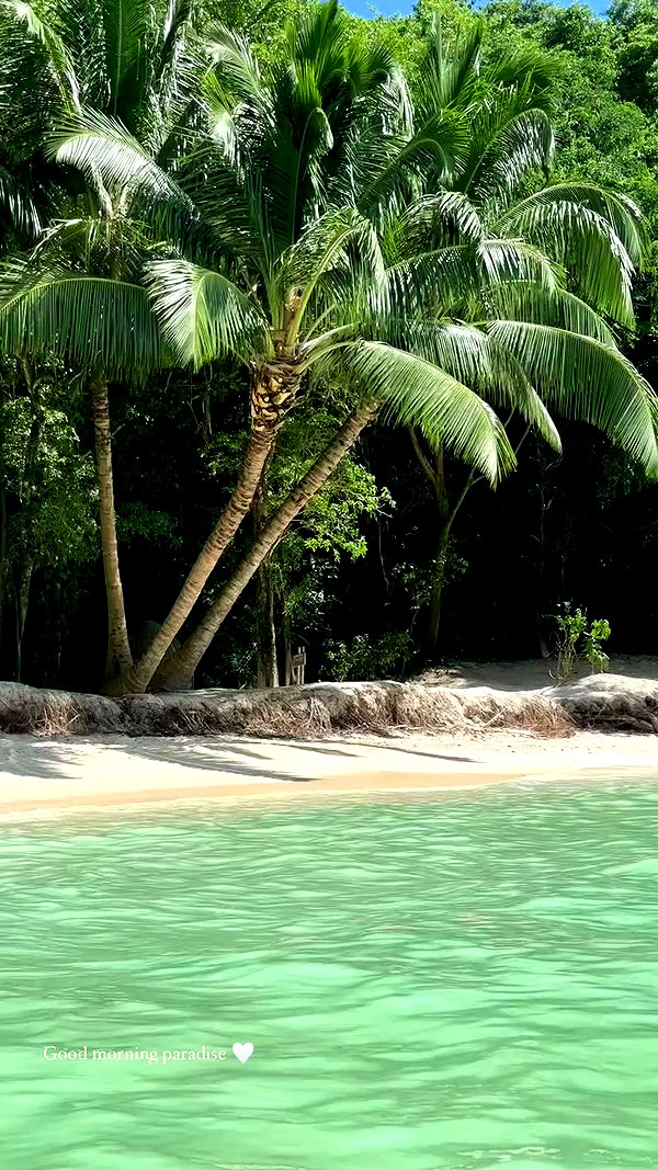 noa_mendel_ archive video preview