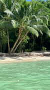 noa_mendel_ Altpins Profile Picture