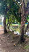 noa_mendel_ Altpins Profile Picture