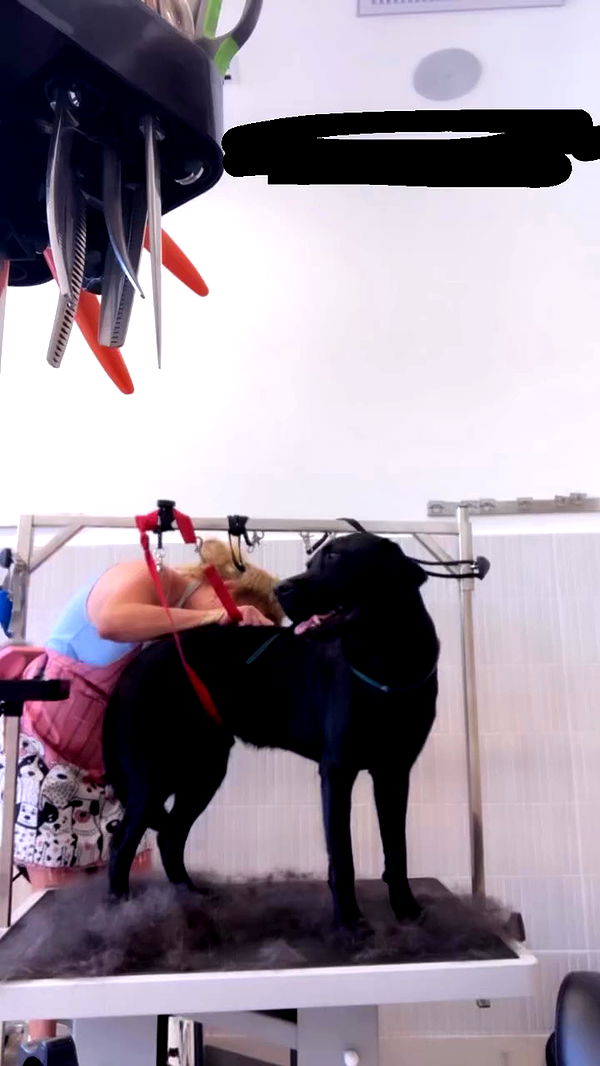 1.lostloli archive video preview