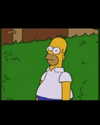 gracex9000 Altpins Profile Picture