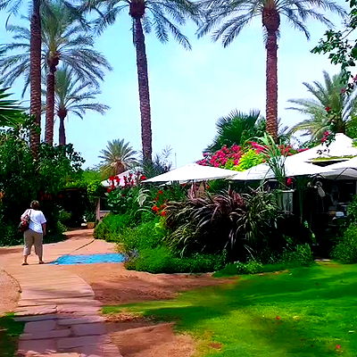 yam_adler yam_adler archive video