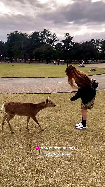 neomiconrad neomiconrad archive video