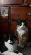 estr3iia Altpins Profile Picture