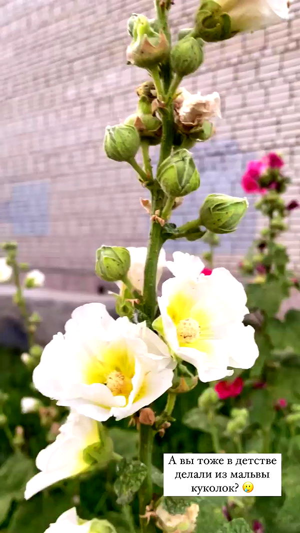 nyityam archive video preview