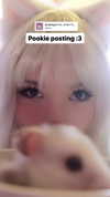 pockycatt Altpins Profile Picture
