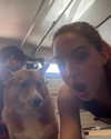 missbrisolo Altpins Profile Picture