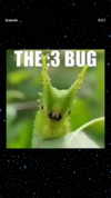 _littlerobin_ Altpins Profile Picture