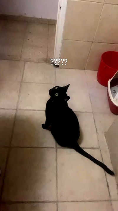 feelbetterinmysweater feelbetterinmysweater archive video