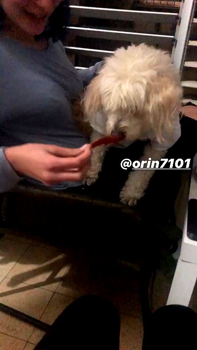 feelbetterinmysweater feelbetterinmysweater archive video