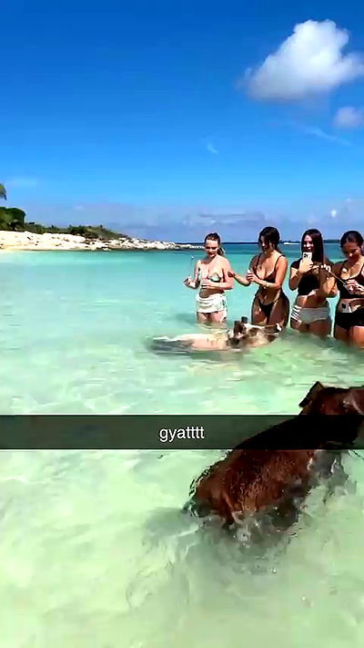 sophieraiin sophieraiin archive video