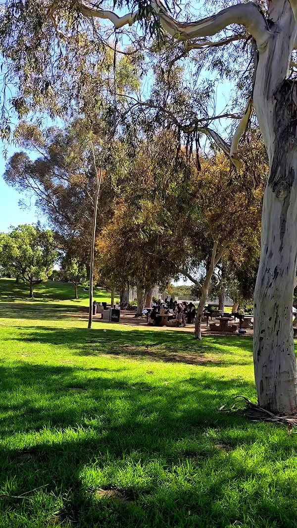 lilith.hecate archive video preview