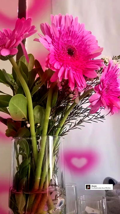 shayli_or shayli_or archive video